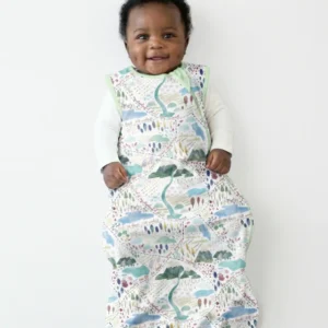 Whimsical Psalms 23 Map Bamboo Sleep Bag