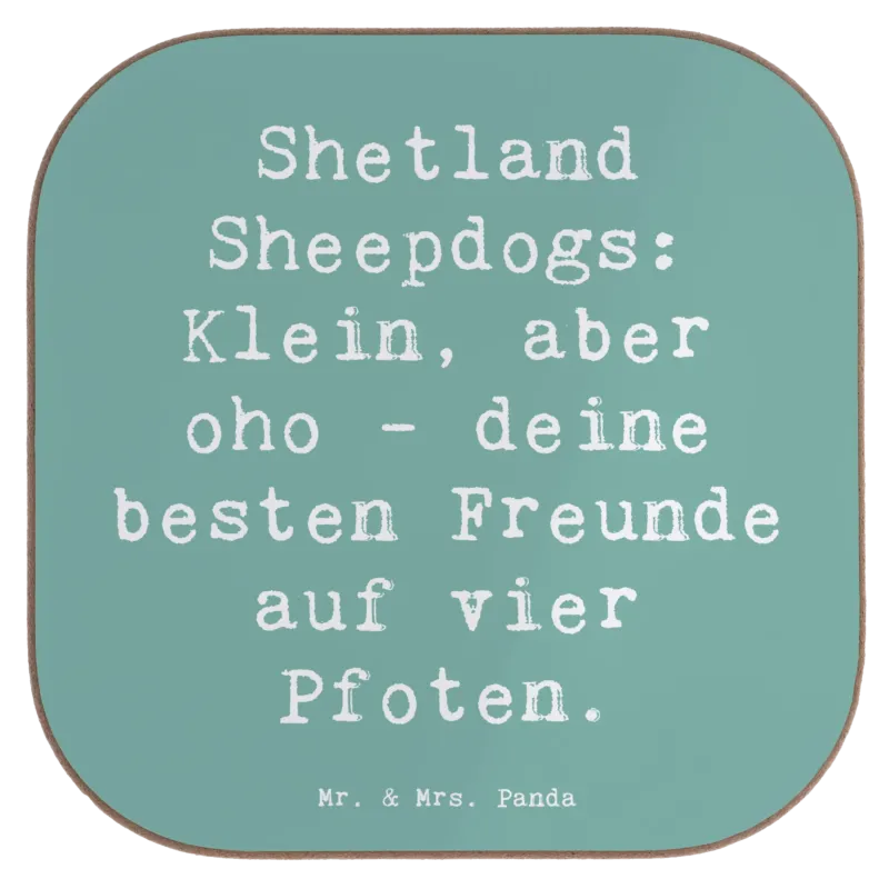 p:1781356|h:c04a13134e6770a8fbab379fd005d1e7
