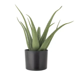 Kunstpflanze Aloeve - Höhe 61 cm