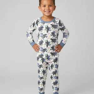 Trash Panda Adventures Bamboo Two Piece Long Sleeve Pajama Set