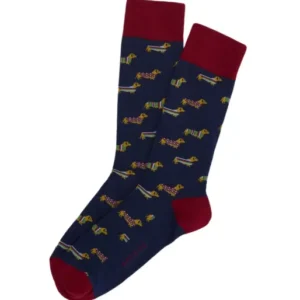 Chaussettes Homme Teckel Marine MARINE 1