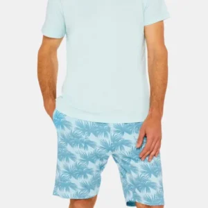 Tee-shirt Homme manches courtes Coton Bleu 10
