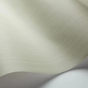 Cole and Son - Tapete Jaspe Wallpaper-Tapeten-Cole & Son-Soft Olive S106/3030-TOJU Interior