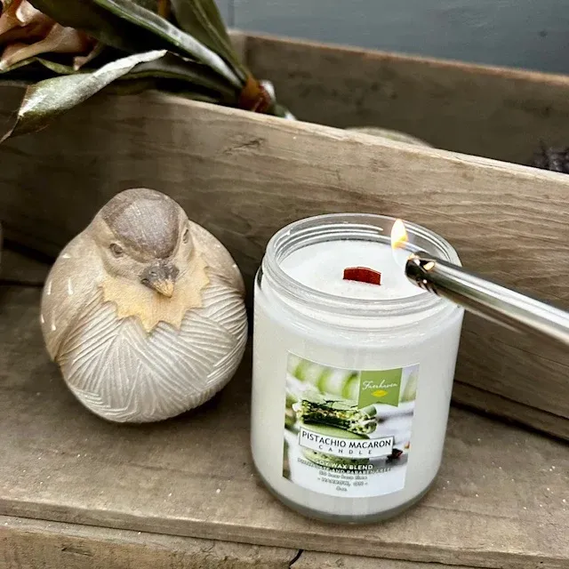 Faerhaven Pistachio Macaron Vegan Wood-Wick Soy 8oz Candle